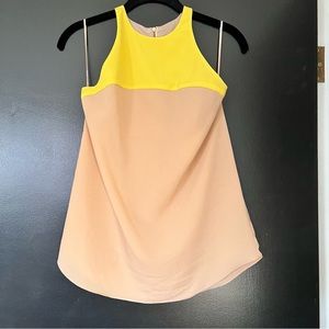 Zara Colorblock Top (size S)